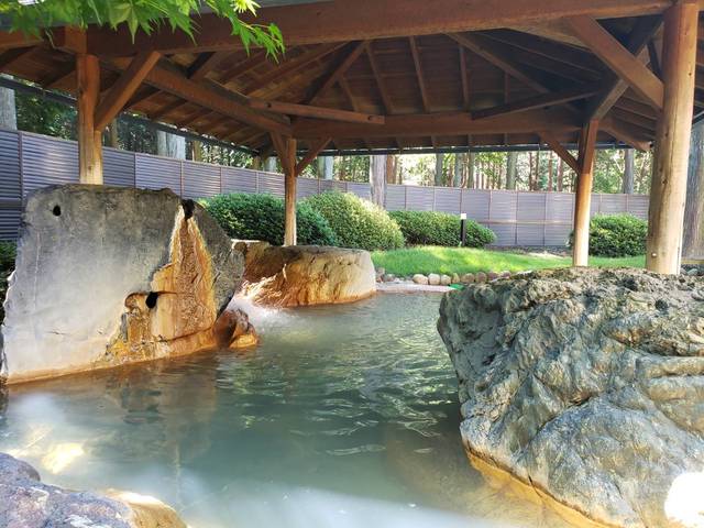 ふれあい交流センター 大芝の湯の画像 2枚目