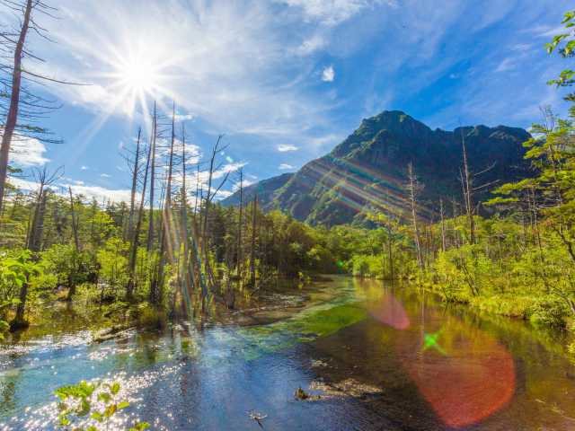 岳沢湿原の画像 3枚目
