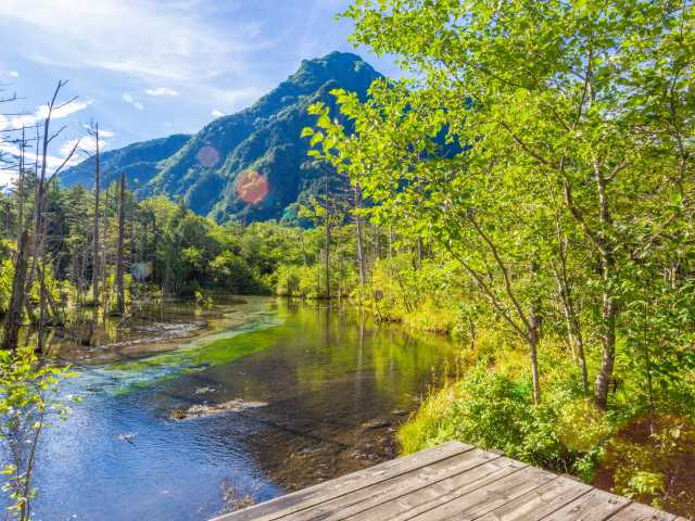 岳沢湿原の画像 4枚目