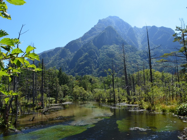 岳沢湿原の画像 1枚目