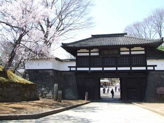 小諸城址 懐古園の桜の画像 1枚目