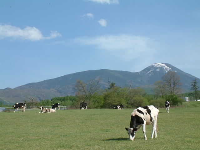 長門牧場の画像 1枚目