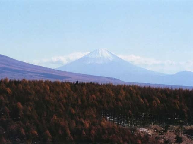 ドライブイン霧ヶ峰富士見台の画像 4枚目