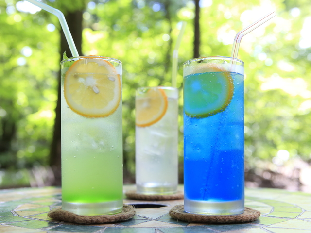 旧軽井沢Cafe 涼の音の画像 4枚目