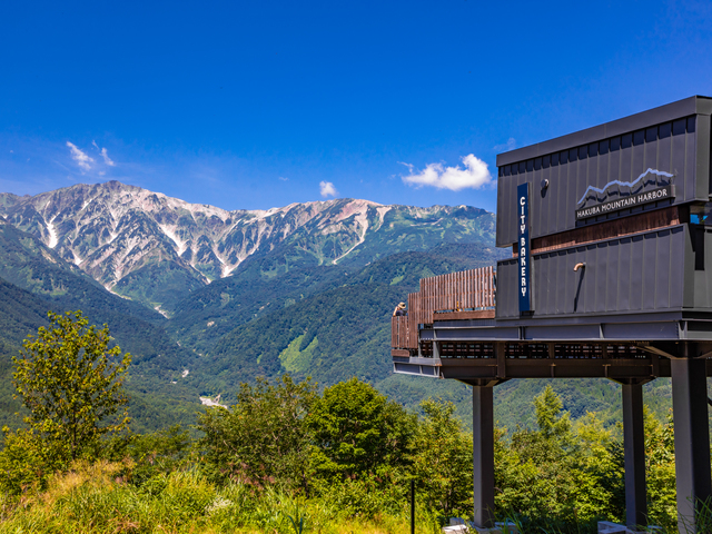 HAKUBA MOUNTAIN HARBORの画像 1枚目