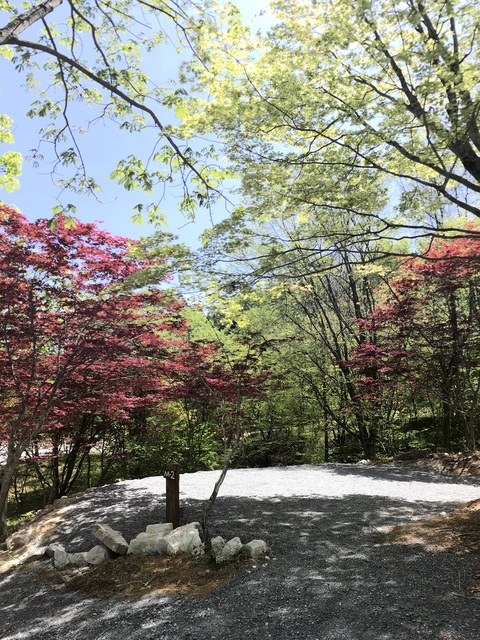 CAMP屋 うるぎキャンプフィールドの画像 4枚目