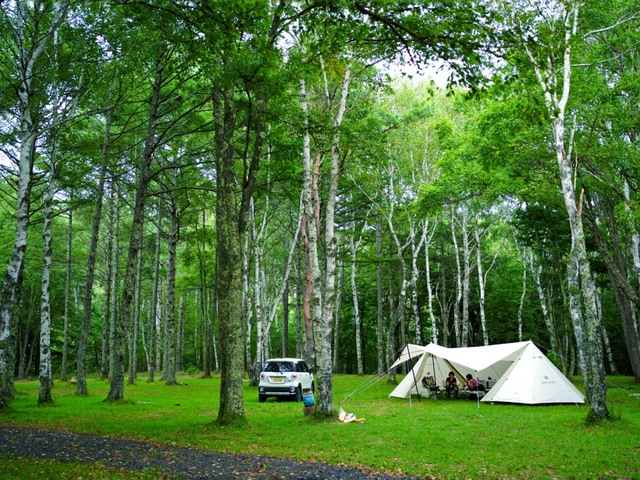 姫木平ホワイトバーチキャンプフィールドの画像 1枚目