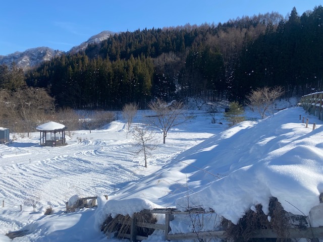 鬼無里ランタンヴィレッジの画像 3枚目