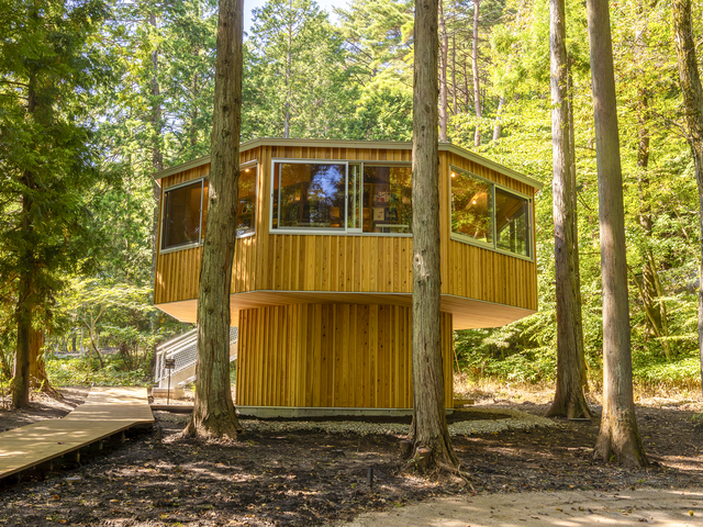 くらすわの森の画像 2枚目