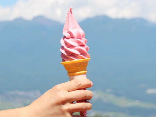 富士見パノラマリゾート 八ヶ岳展望台の画像 2枚目