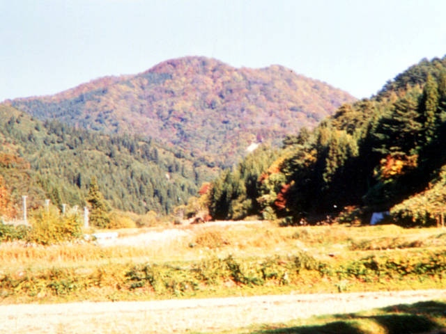 県民の森・梵珠山
