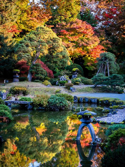 盛美園の画像 2枚目