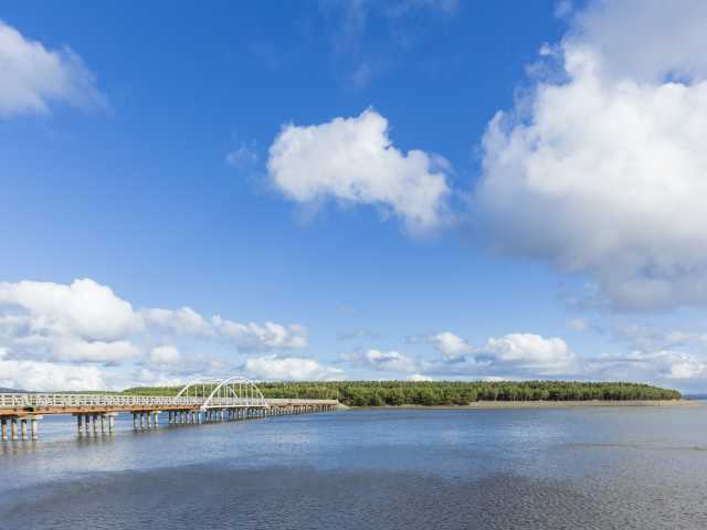 十三湖中の島ブリッジパークの画像 2枚目