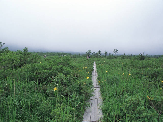 田代平湿原の画像 3枚目