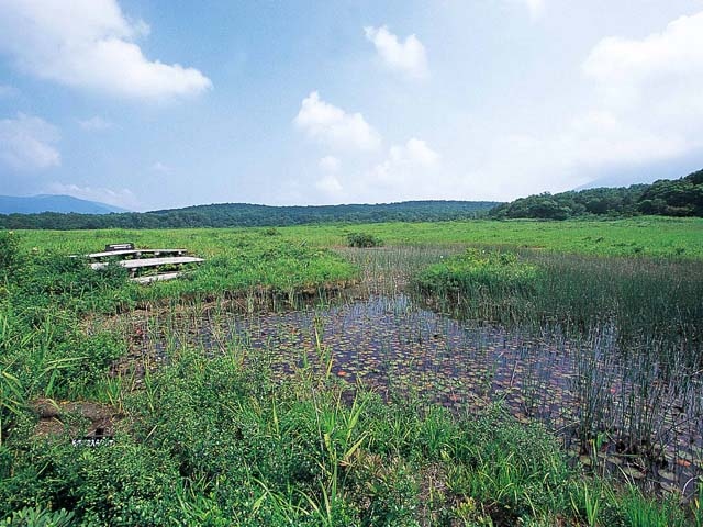 田代平湿原の画像 4枚目