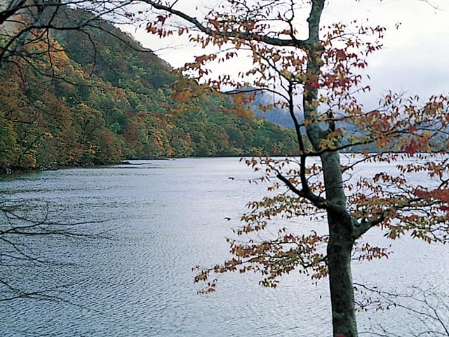 十和田湖(青森県)