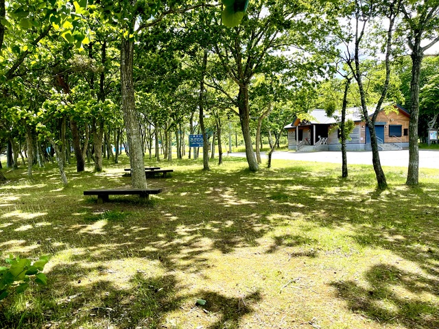 わかさぎ公園浜台キャンプ場・オートキャンプ場の画像 1枚目