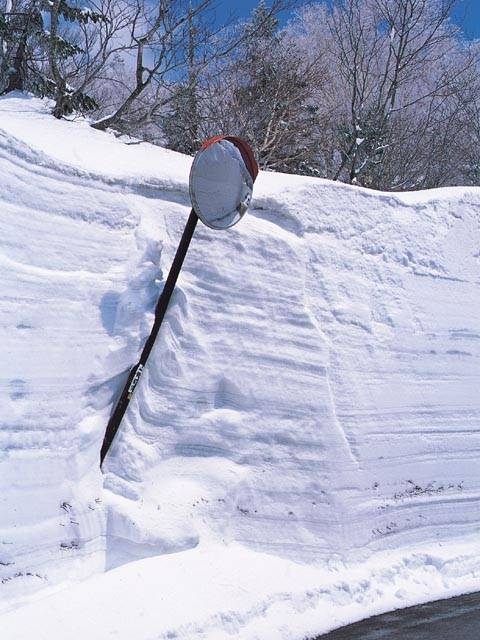 八甲田 “雪の回廊と温泉” ウォークの画像 4枚目