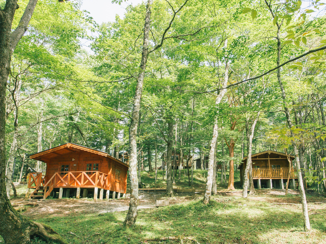 PICA表富士の画像 1枚目