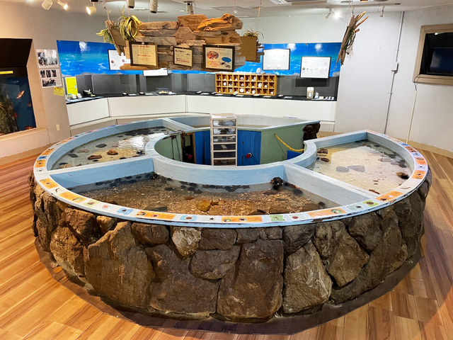 あわしまマリンパークの画像 3枚目