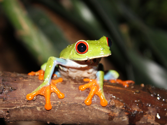 あわしまマリンパークの画像 4枚目