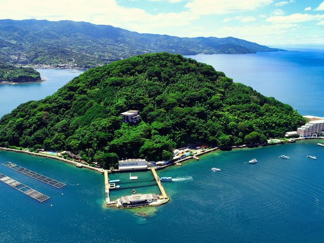 あわしまマリンパークの画像 2枚目