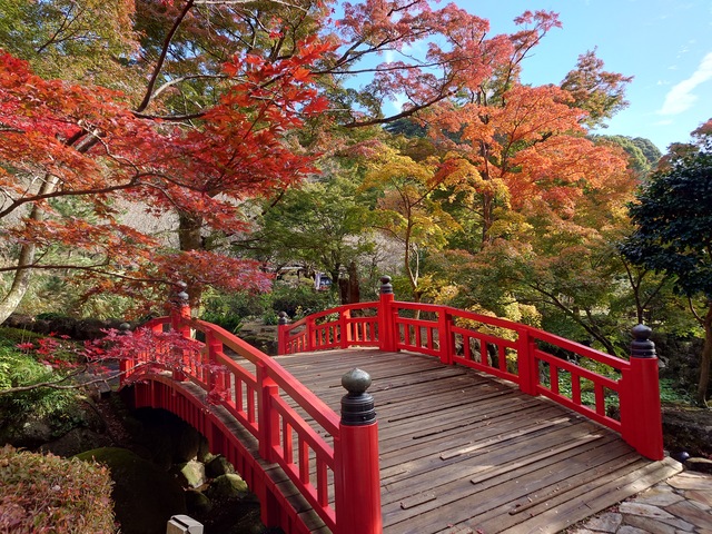 熱海梅園の画像 3枚目