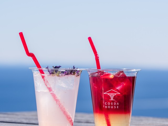 ACAO FORESTの画像 4枚目