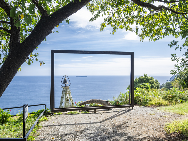 ACAO FORESTの画像 2枚目