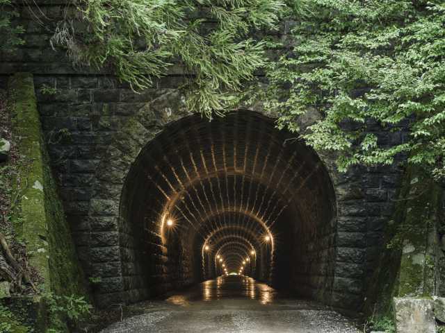 天城山隧道(旧天城トンネル)の画像 3枚目