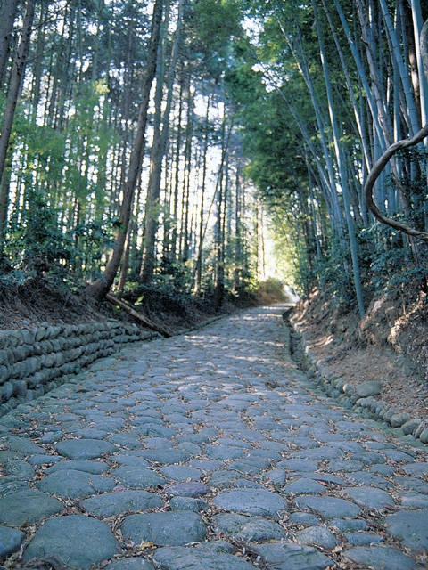 旧東海道の石畳の画像 2枚目