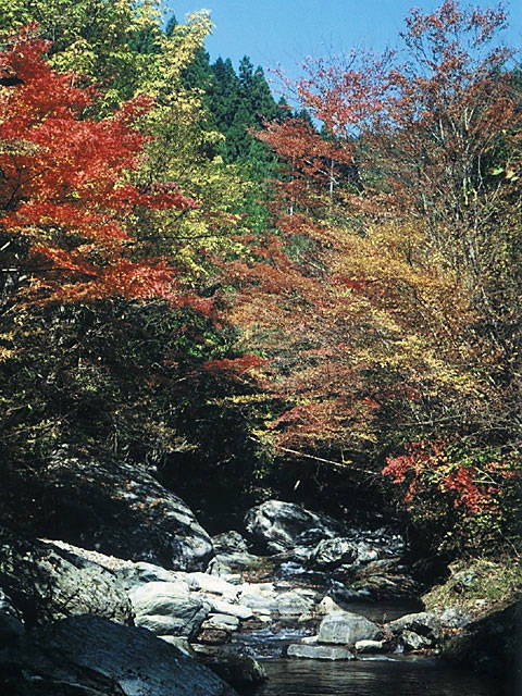 白倉峡の紅葉