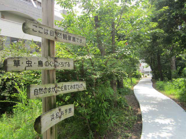 浜松科学館