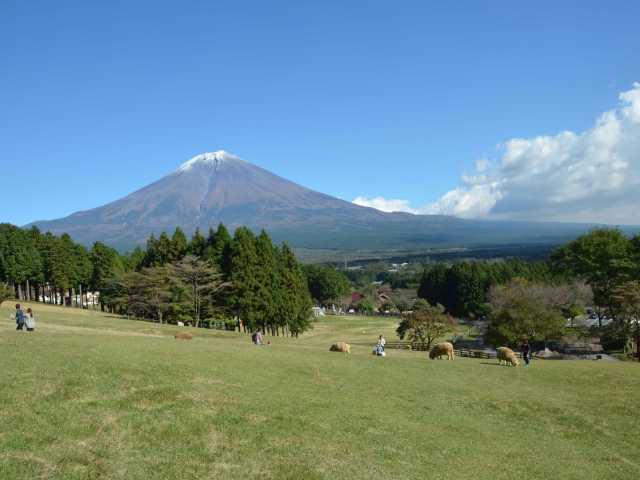 富士山麓朝霧高原 まかいの牧場の画像 4枚目