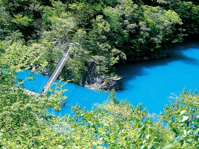 夢の吊橋の画像 1枚目