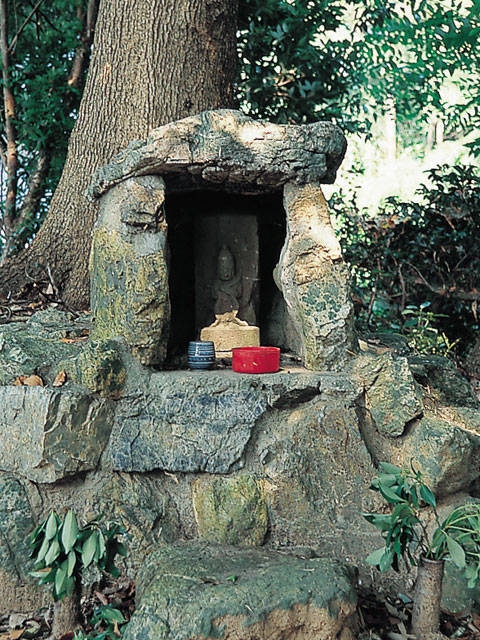 姫街道の画像 4枚目