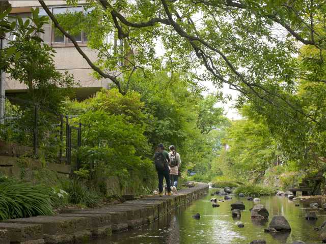 源兵衛川水辺の道