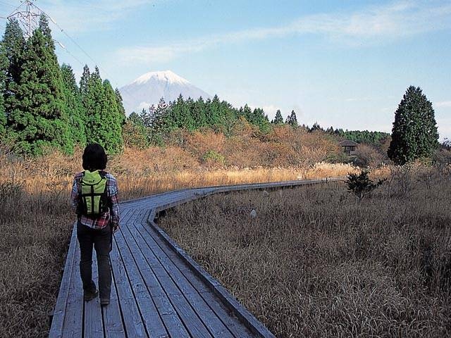 小田貫湿原の画像 1枚目