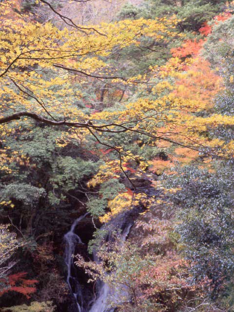 二階滝の画像 2枚目