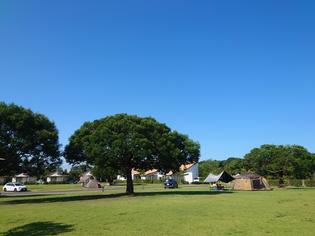 竜洋海洋公園オートキャンプ場の画像 2枚目