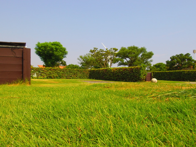 竜洋海洋公園オートキャンプ場の画像 2枚目