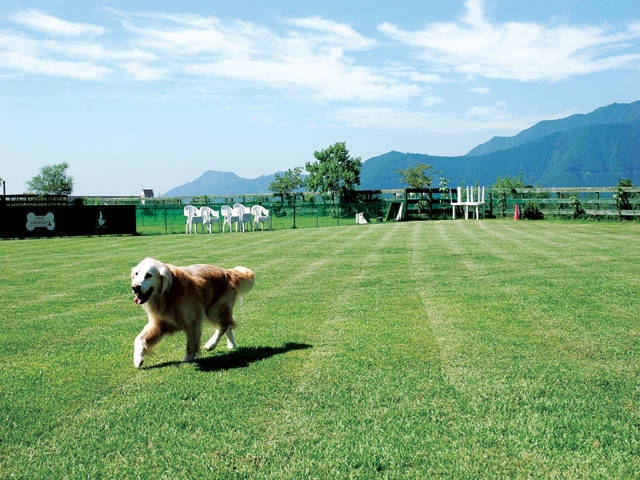 Field Dogs Garden(キャンプ場)