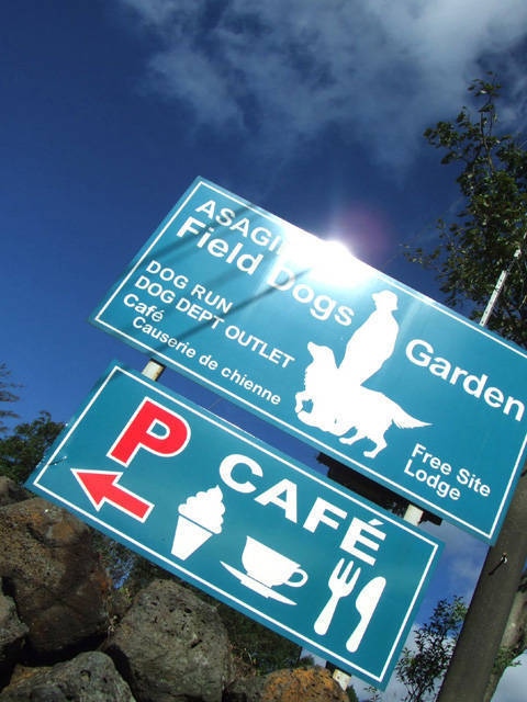 Field Dogs Garden(キャンプ場)の画像 4枚目