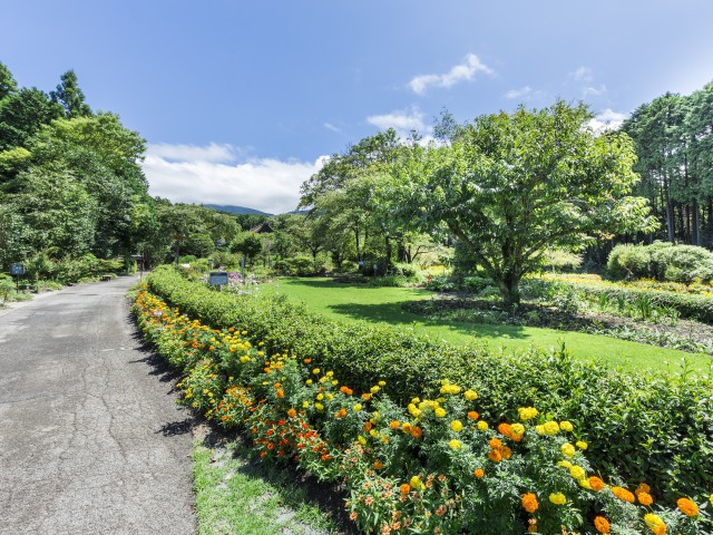 秩父宮記念公園