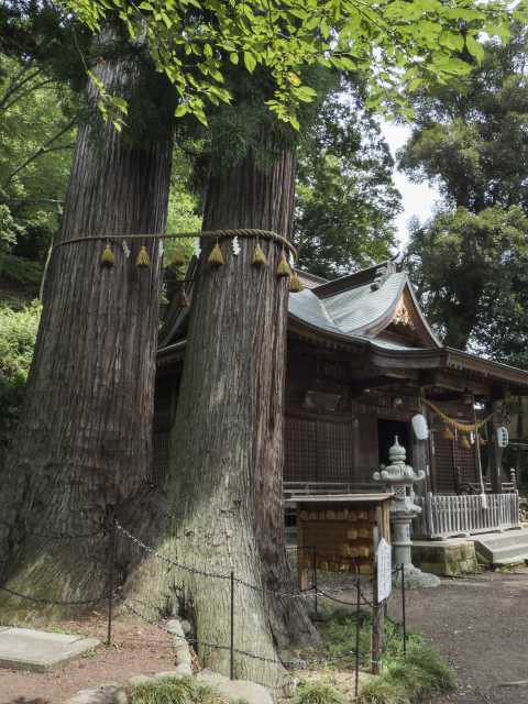 日枝神社の画像 4枚目