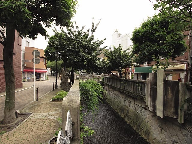 糸川遊歩道