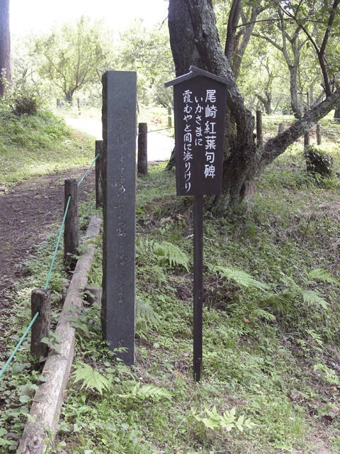 修善寺自然公園の画像 2枚目