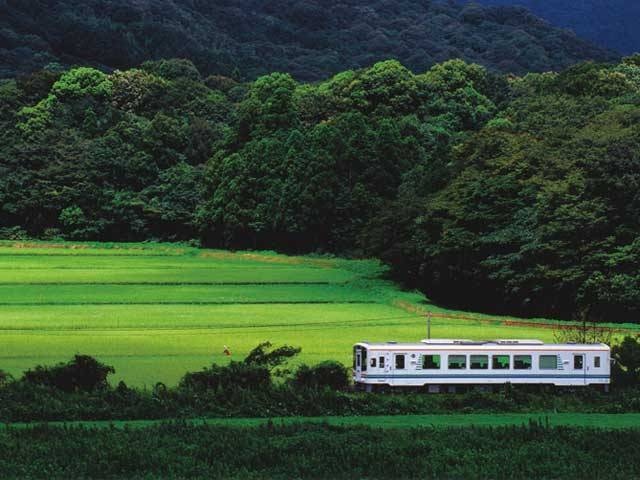 天竜浜名湖鉄道の画像 4枚目