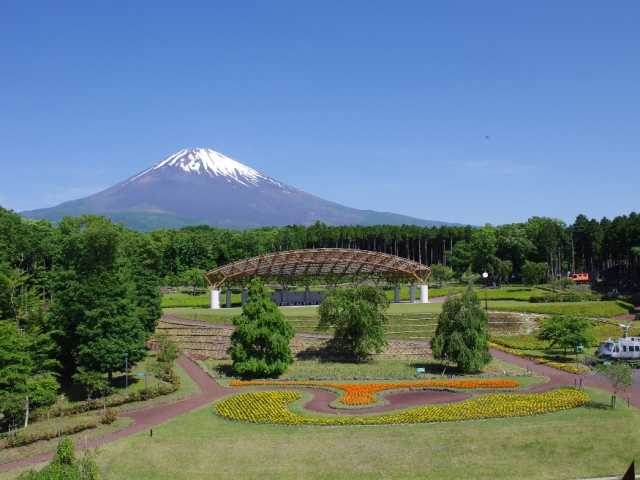 富士山樹空の森