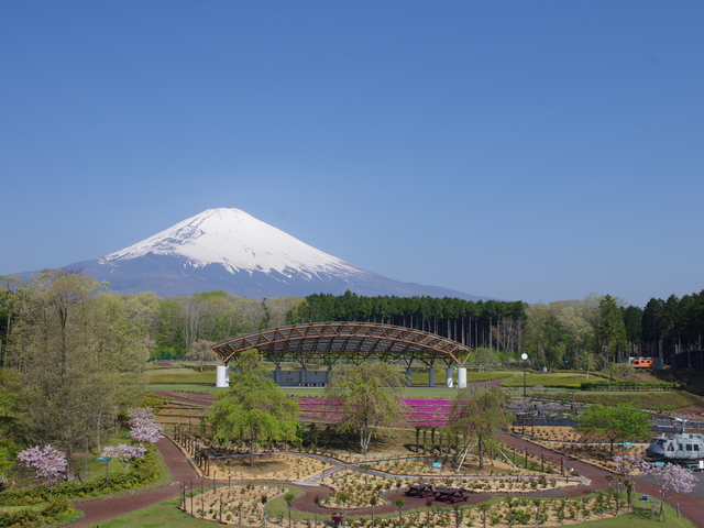 富士山樹空の森の画像 1枚目